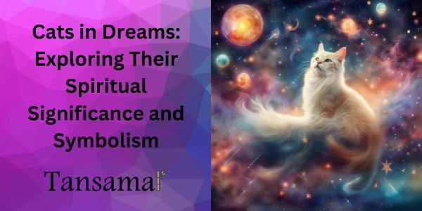 Cats in Dreams: Exploring Their Spiritual Significance and Symbolism